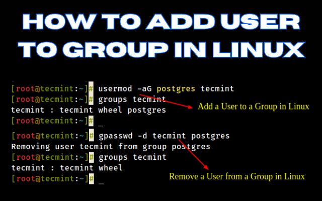 Add User to Group