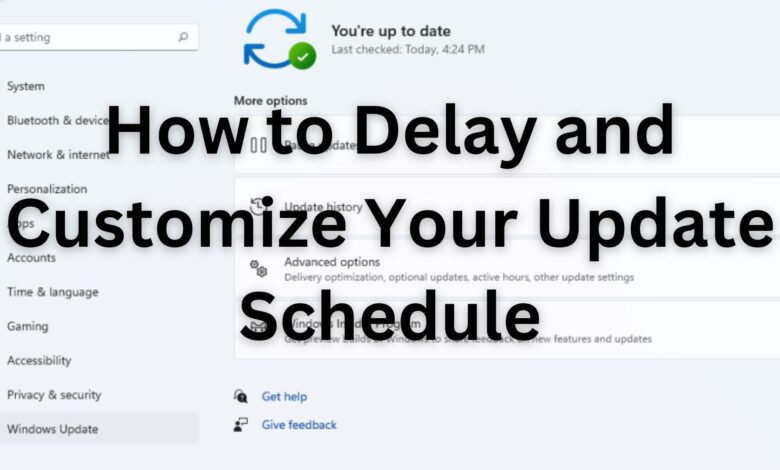 Delay and Customize Your Update Schedule
