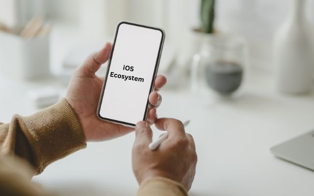 iOS Ecosystem