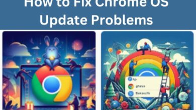 Chrome OS Update Problems