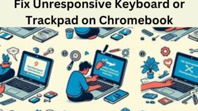 Unresponsive Keyboard or Trackpad