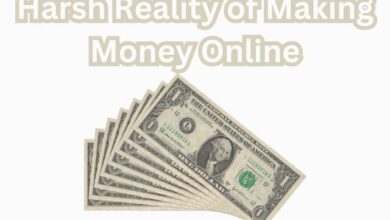 Harsh Reality of Making Money Online