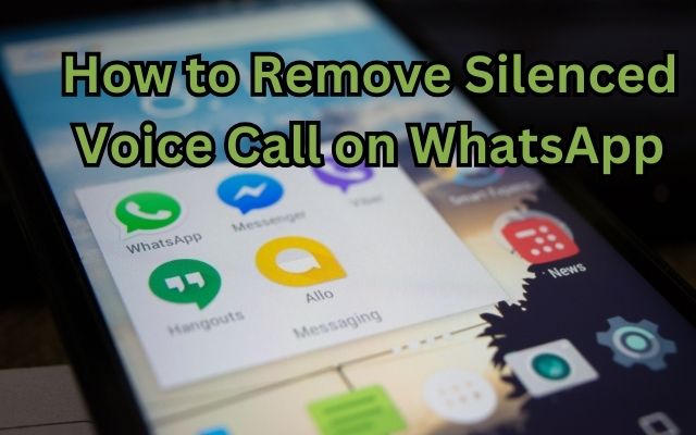 Silenced Voice Call
