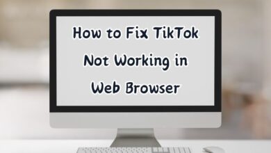 TikTok Not Working