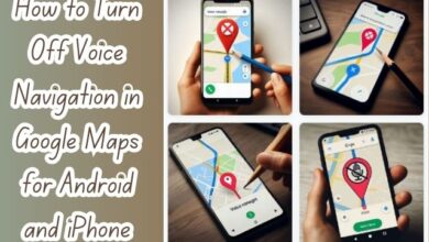 Turn Off Voice Navigation