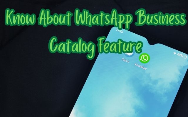 Business Catalog Feature
