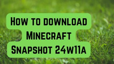 Minecraft Snapshot 24w11a