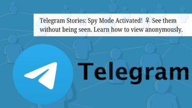 Telegram Stories