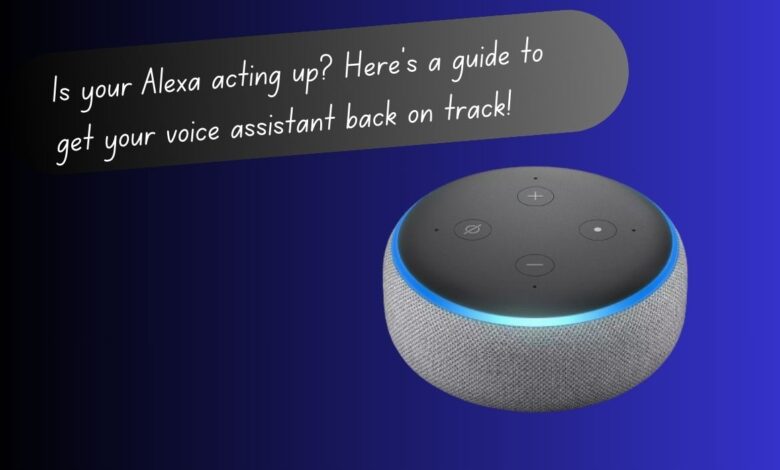 How to Fix Alexa When She Is "Having Trouble Understanding Right Now"
